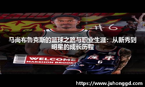必一运动b-sports官网